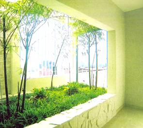 Phú Điền - Trồng cây trên sân thượng chống nóng
