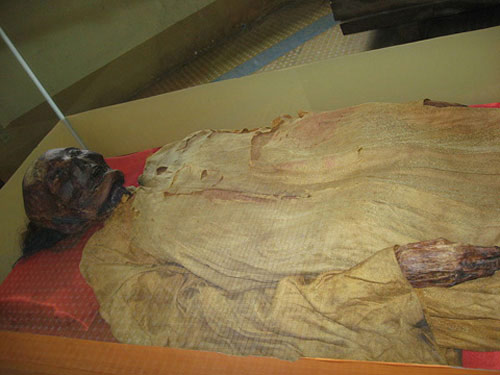 Bí mật xác ướp ở Bảo tàng lịch sử VN, Tin tức Việt Nam, Tin tức trong ngày, xac uop, bao tang, lich su, viet nam, du khach