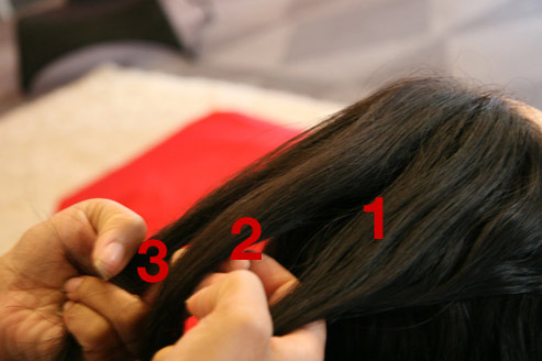 Hình ảnh Hướng dẫn cách tết tóc kiểu Pháp số 2