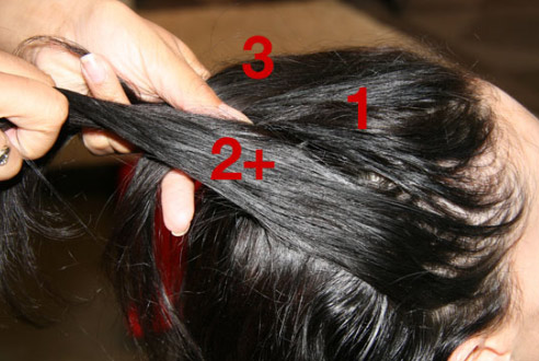 Hình ảnh Hướng dẫn cách tết tóc kiểu Pháp số 5