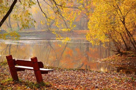 Hình ảnh Cảnh mùa thu đẹp mê hồn trên khắp thế giới số 6