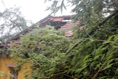 Xã hội - Quảng Ninh thiệt hại khoảng 10 tỷ đồng do bão số 5 (Hình 11).
