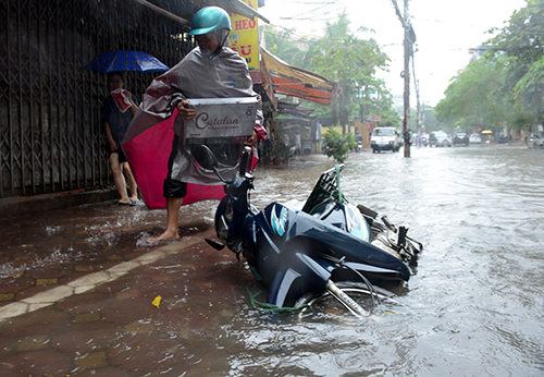 Xã hội - Quảng Ninh thiệt hại khoảng 10 tỷ đồng do bão số 5 (Hình 12).