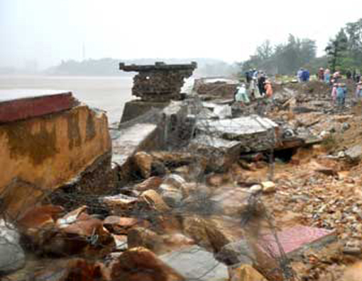 Xã hội - Quảng Ninh thiệt hại khoảng 10 tỷ đồng do bão số 5 (Hình 10).