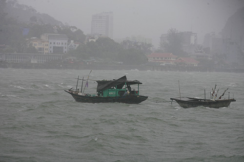 Xã hội - Quảng Ninh thiệt hại khoảng 10 tỷ đồng do bão số 5 (Hình 7).