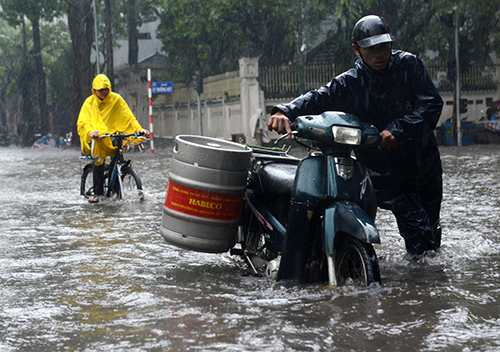 Xã hội - Quảng Ninh thiệt hại khoảng 10 tỷ đồng do bão số 5 (Hình 13).