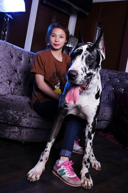 Hình ảnh Chuyện nữ sinh Việt nuôi thú cưng độc số 1