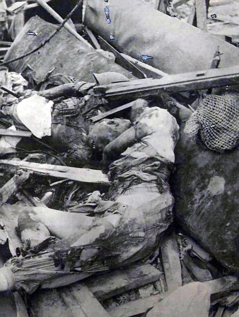 Hình ảnh Những hình ảnh chết chóc trong thảm họa bom nguyên tử Hiroshima số 8