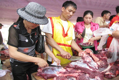 Tưng bừng lễ hội Chọi trâu cổ nhất Việt Nam 7 Tưng bừng lễ hội Chọi trâu cổ nhất Việt Nam 7
