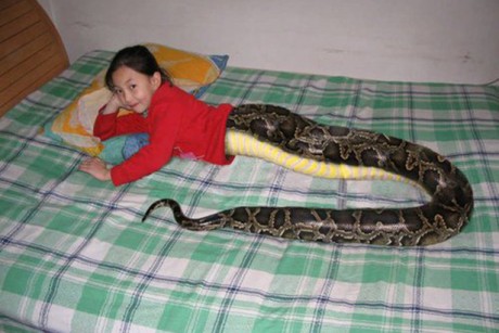 Sự thật về cô bé nửa người, nửa rắn ở Thái Lan