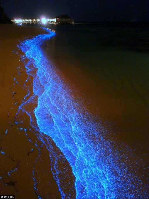 Clip: Bãi biển rực sáng kỳ lạ trong đêm 7