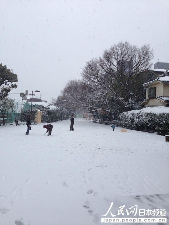 Nhật Bản: Tuyết rơi khủng khiếp nhất 20 năm qua 5