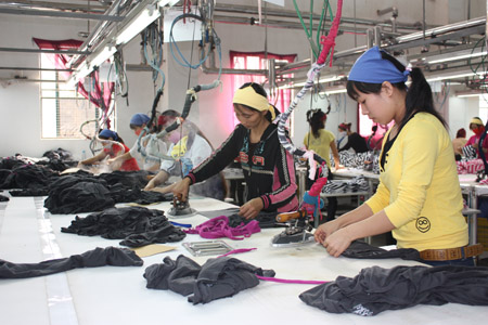 Cử nhân giấu bằng xin làm... công nhân Cử nhân giấu bằng xin làm... công nhân 5