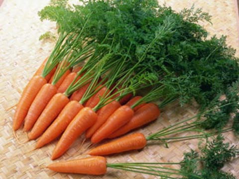 Những thực phẩm cho trẻ ăn nhiều sẽ chống lại bệnh sởi cà rốt