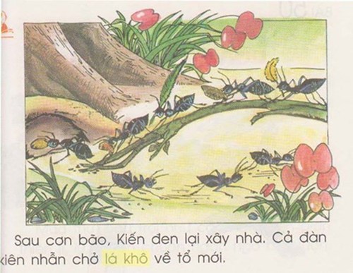 Giật mình với hình minh họa trong sách giáo khoa Tiếng Việt 1 Giật mình với hình minh họa trong sách giáo khoa Tiếng Việt 1 5