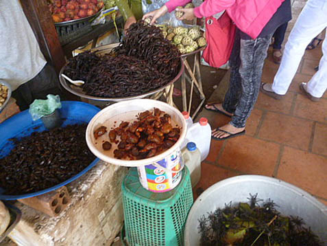 Đi sắm thần dược phòng the ở khu chợ có 1-0-2 tại Việt Nam