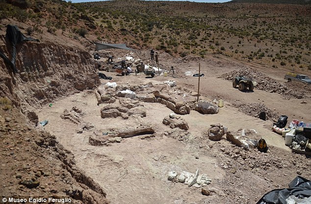 Cận cảnh khai quật xương hóa thạch khủng long khổng lồ nặng 77 tấn