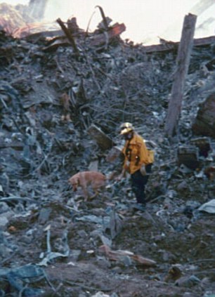 Những chú chó anh hùng được vinh danh trong vụ 11/9