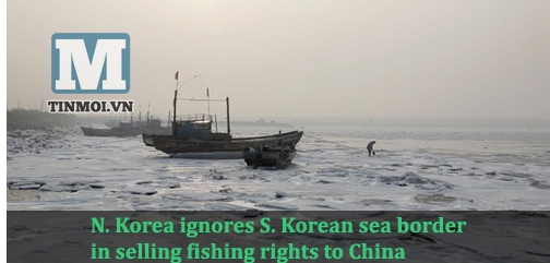 Tàu cá Trung Quốc hoạt động tại biển Hoàng Hải. Minh họa ghép từ ảnh chụp màn hình