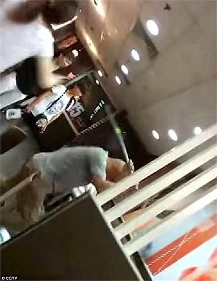 Trung Quốc: Một phụ nữ bị đánh chết trước mặt nhiều người ở McDonalds