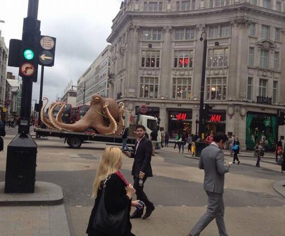 Cận cảnh bạch tuộc khổng lồ mắc kẹt trên đường phố