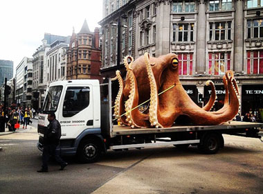 Cận cảnh bạch tuộc khổng lồ mắc kẹt trên đường phố