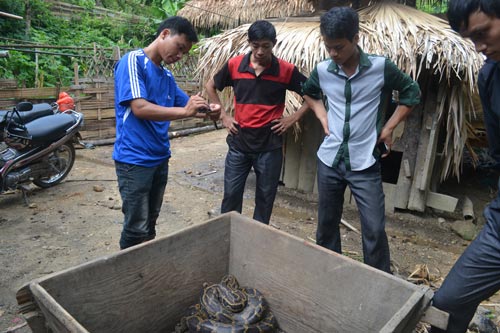 Thực hư lời đồn về rắn thành tinh ở Hà Giang 