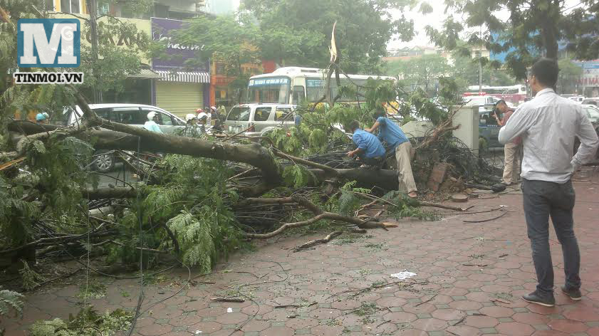 Cận cảnh đường phố Hà Nội sau trận mưa dông kinh hoàng
