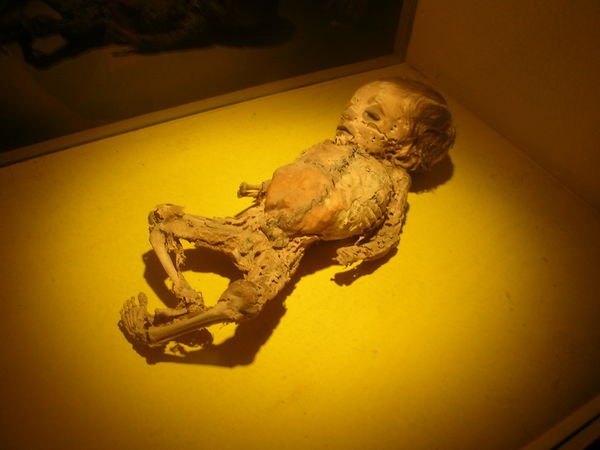 Rùng mình đến thăm bảo tàng xác ướp kỳ dị nhất thế giới