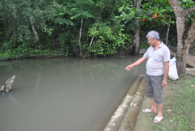 Ba đàn cá thần, dân không dám ăn thịt ở Thanh Hóa