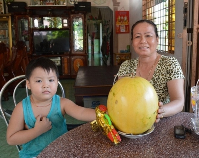 Hình ảnh Kỳ lạ dưa vàng đặt bàn thờ 7 tháng vẫn tươi nguyên số 1