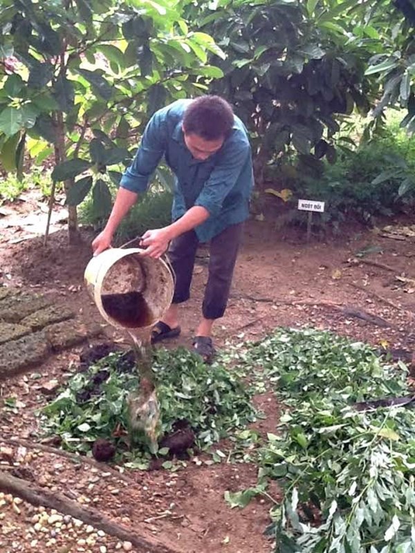 Nữ tiến sĩ lội ruộng, trồng rau thơm từ rừng nguyên sinh bán theo combo 7 Nữ tiến sĩ lội ruộng, trồng rau thơm từ rừng nguyên sinh bán theo combo 7