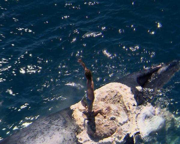 Thanh niên “nghịch dại” leo lên xác cá voi giữa bầy cá mập khát mồi 5
