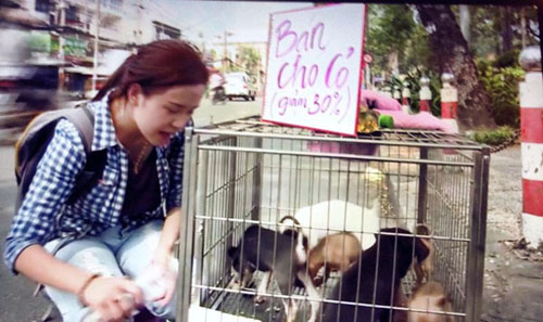 Bà Tưng đổi nghề đi bán chó dạo tại chợ Bến Thành 6