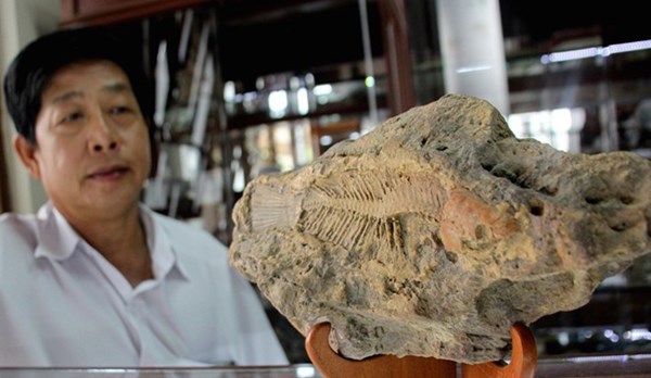 Bộ sưu tập đá tiền tỷ của đại gia Việt 8