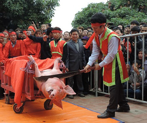 chém lợn, lễ hội chém lợn, tục chém lợn, chém lợn ném thượng, tổ chức bảo vệ động vật, tranh cãi về lễ hội chém lợn, làng ném thượng