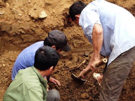 Hãi hùng đào móng nhà, tìm thấy 11 bộ xương