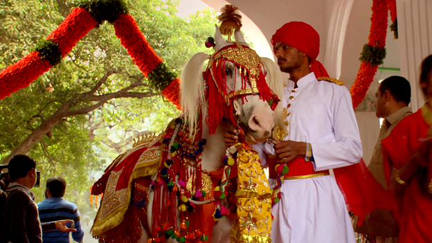 Đám cưới xa hoa như trong cổ tích của hoàng tử Ấn Độ 6