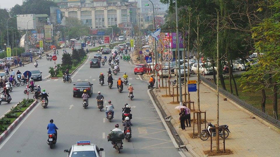 Chỉ đạo làm rõ vụ chặt cây xanh, lấp sông Đồng Nai