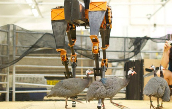Những robot có hình dáng giống động vật 5