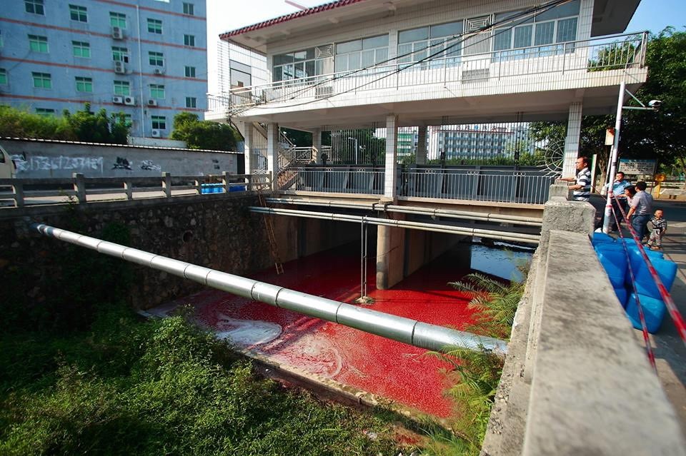 Rùng mình 'dòng sông máu' xuất hiện tại Trung Quốc 3