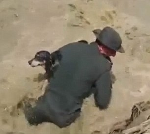 Video: Cảnh sát hô hấp nhân tạo cho chú chó bị chết đuối 2