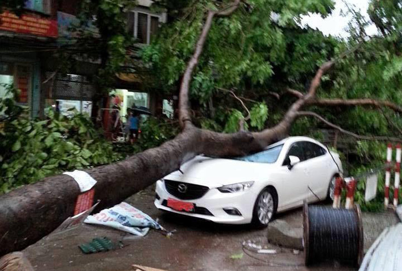 Nữ nạn nhân tử vong trong giông lớn dị thường là nữ sinh ĐH Kinh doanh