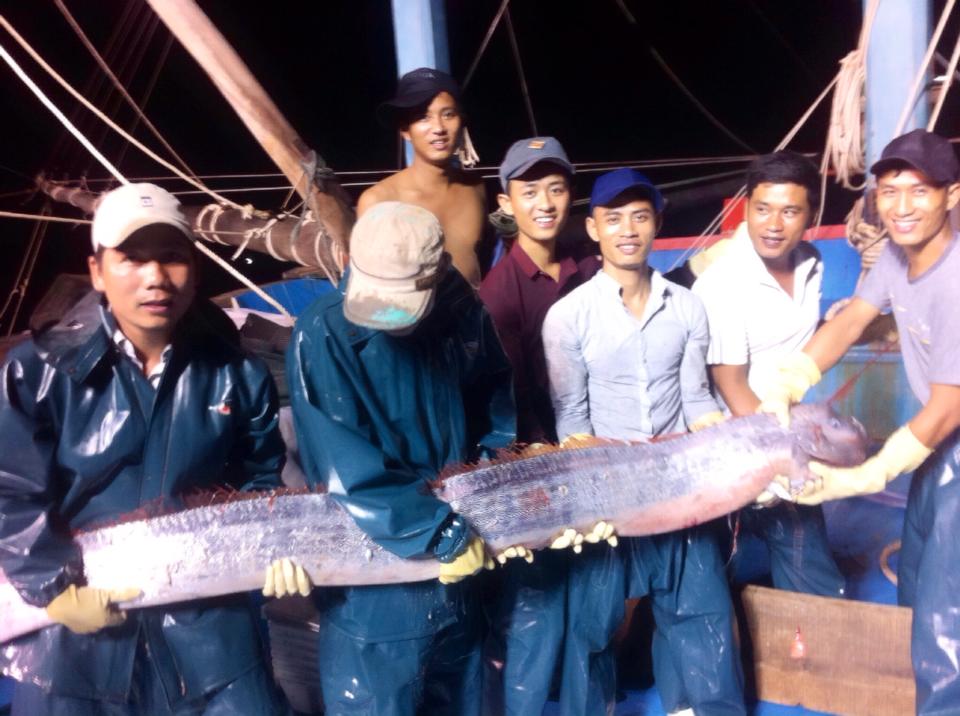 Cá mái chèo mắc lưới ngư dân Nghệ An  1