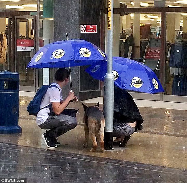 Cặp đôi ướt sũng vì thương xót chú chó lạ bị buộc giữa trời mưa 2