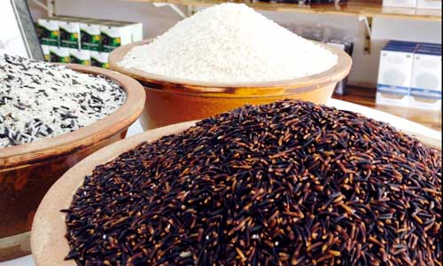 “Ồ ạt” xuất bán gạo dược liệu trăm nghìn/kg 1
