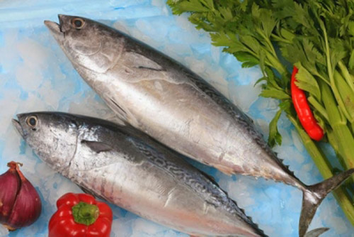 Những đối tượng tuyệt đối không ăn cá ngừ 1