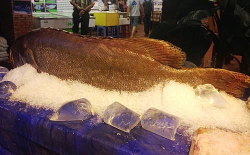 Bắt được cá mú khổng lồ nặng 160kg giá hàng trăm triệu đồng 1