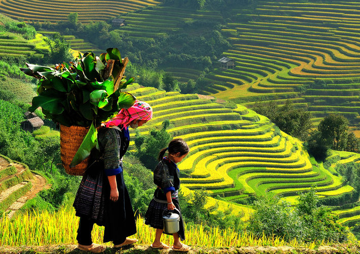 Khám phá thành phố trong mây Sapa 2 ngày 3 đêm - ảnh 1 Hình ảnh Khám phá thành phố trong mây Sapa 2 ngày 3 đêm số 1