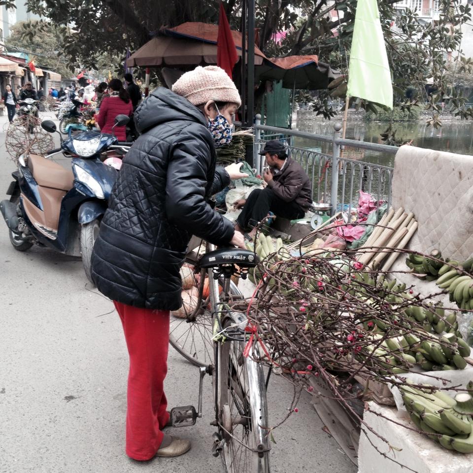 Người Hà Nội nô nức sắm đào quất ngày giáp Tết 1 Người Hà Nội nô nức sắm đào quất ngày giáp Tết 1